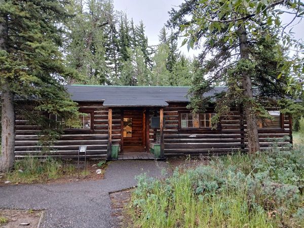 Rustic wooden cabin surrounded by trees and greenery.