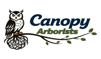 Canopy Arborists