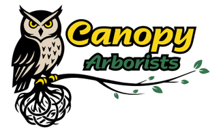 Canopy Arborists
