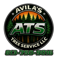 Avila's Tree Service LLC