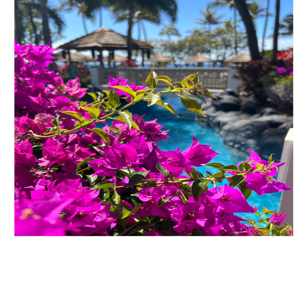 Maui, Hawaii