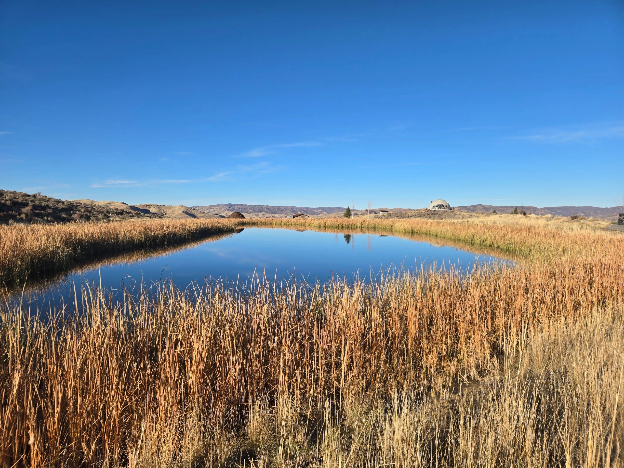 1-acre mountain pond, with liner. Built to look like a part of the mountain it sits on.