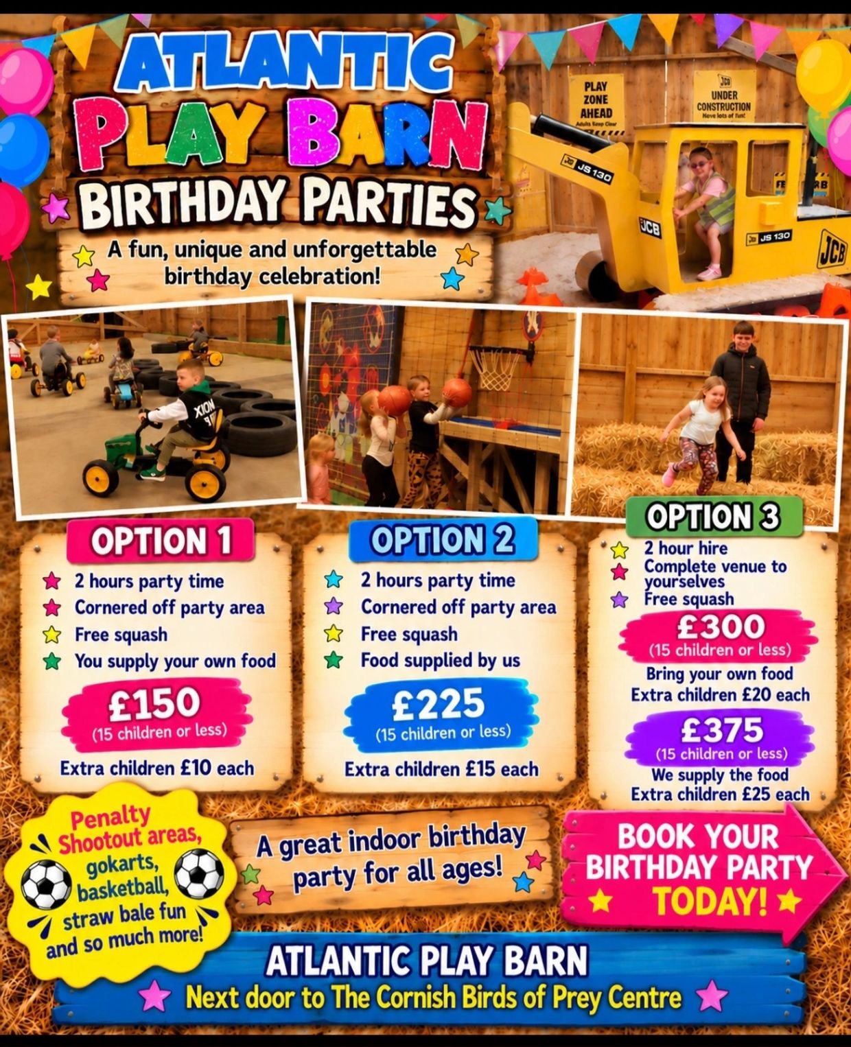 Birthday party options at Atlantic Play Barn with fun activities.