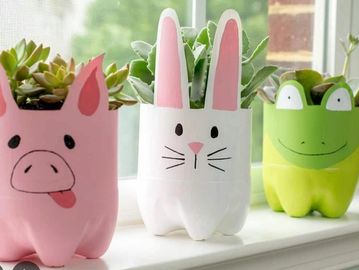 Plant holder