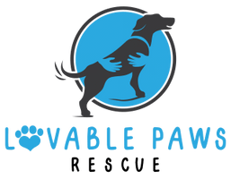Lovable Paws Rescue and Sanctuary