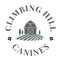 Climbing Hill Canines