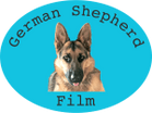 Why I Love My German Shepherd