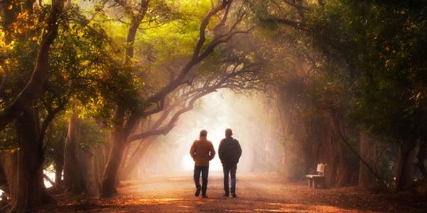 two people walking outside under beautiful trees and sunlight ahead of them