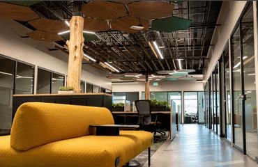 Flats acoustic canopies from Chroma Collections