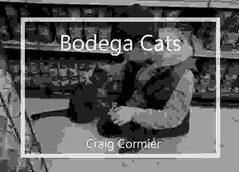Bodega Cats - Craig Cormier