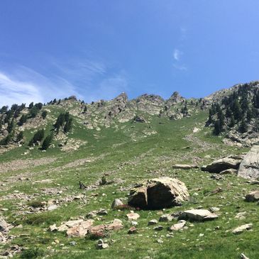 Rocky mountain slope with scattered trees under a clear blue sky.