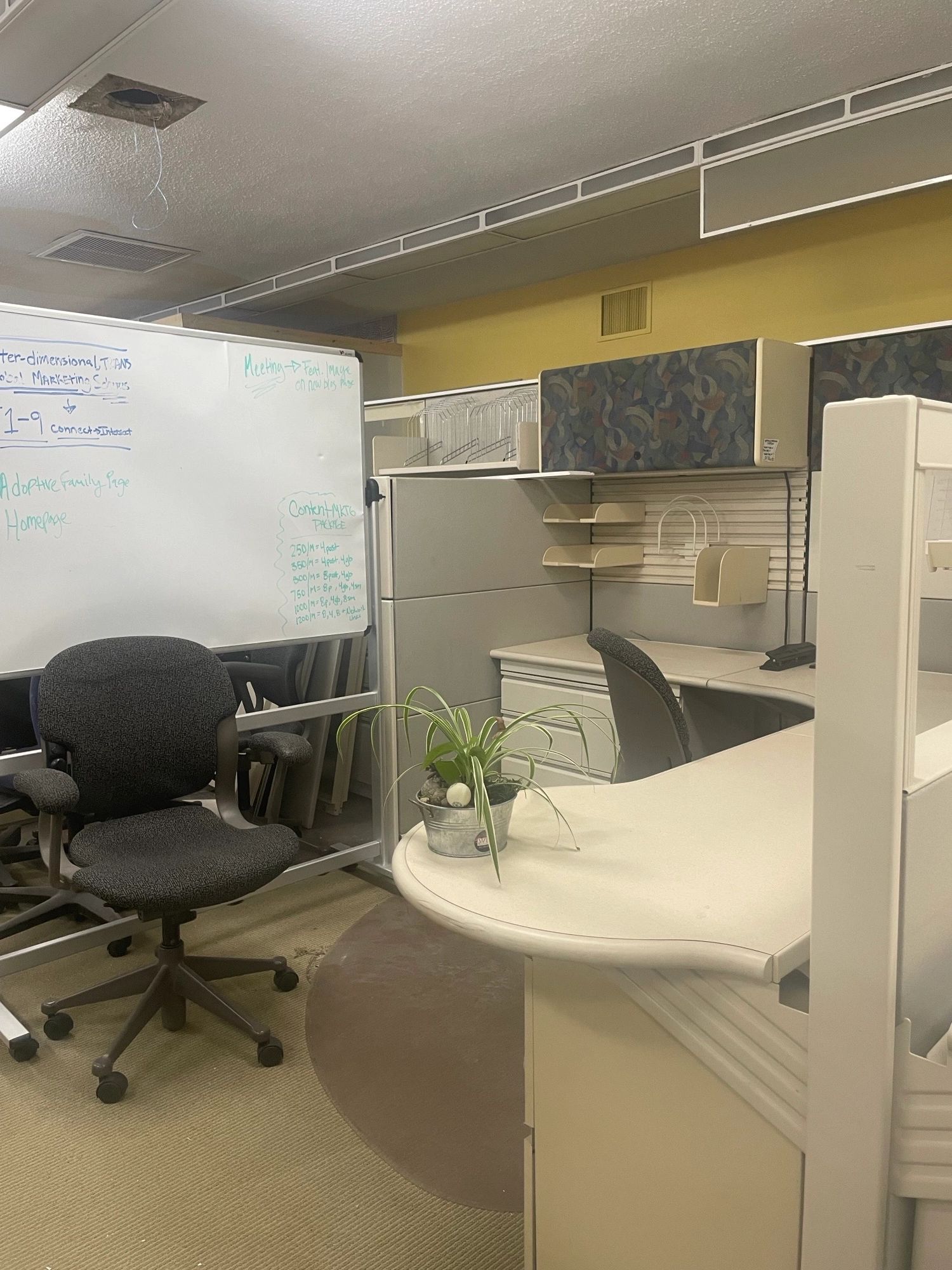 Collaborative Office Space