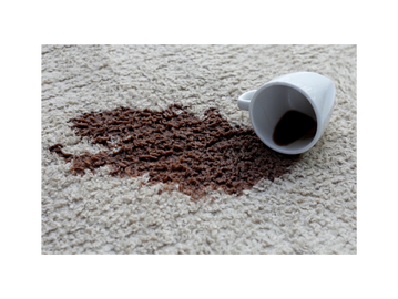 Professional Carpet Services Salem Bedford NH | School Church Dental Deep Cleaning