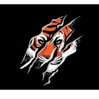 Roseville High School Tiger Band and Color Guard