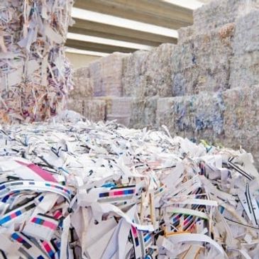 Bales of paper
