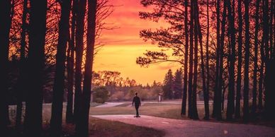 A person skateboards on a winding path through trees at sunset.