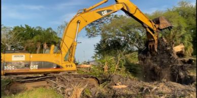 Yellow excavator clearing trees and debris in a wooded area.