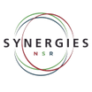 Synergies Middle East Europe Kft
