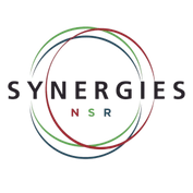 Synergies Middle East Europe Kft
