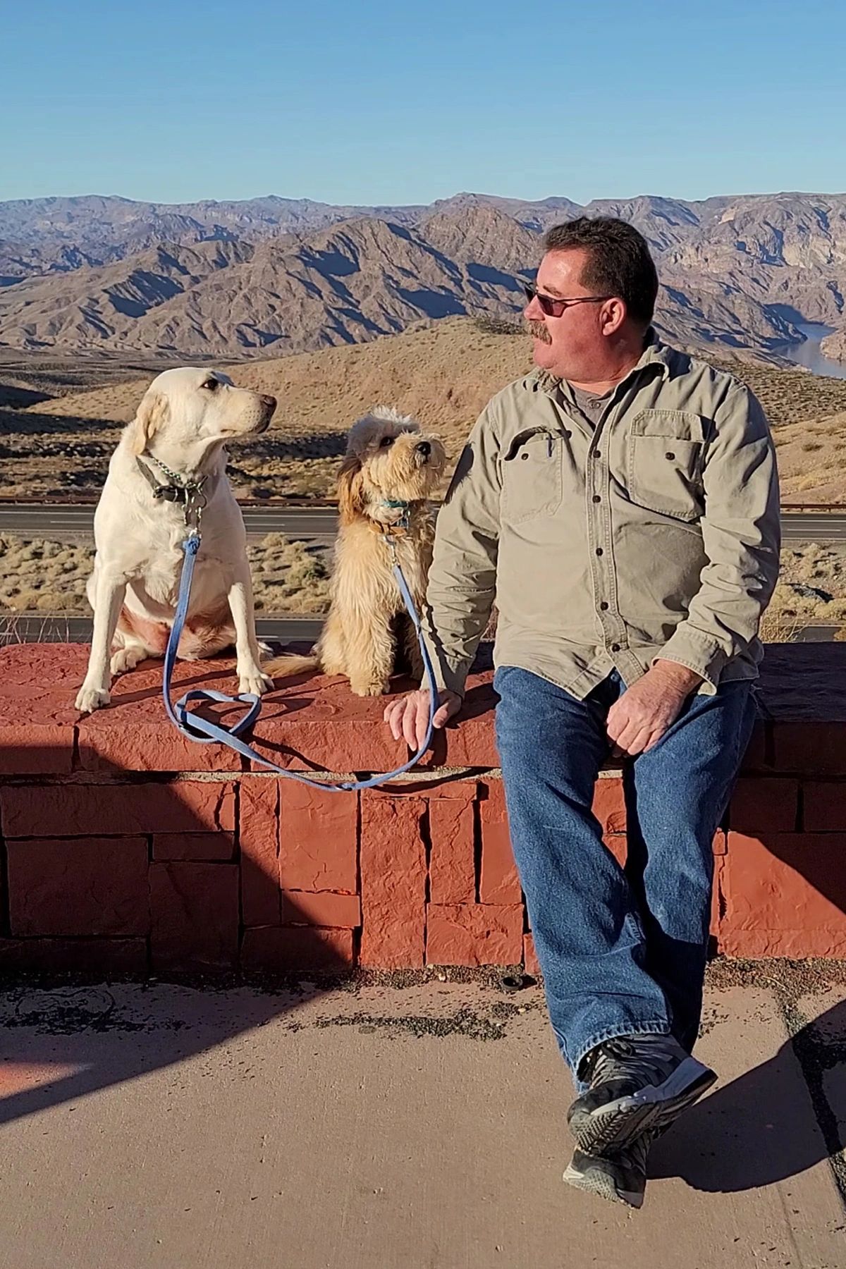 Roy Hayes - K9 Advantage | Dog Training