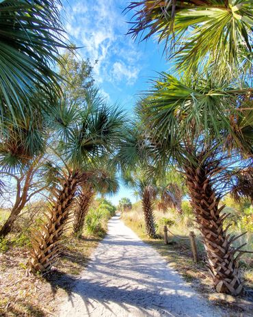 Pathway to Paradise - Siesta Key, FL