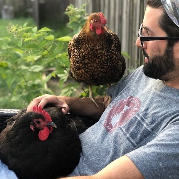 Travis spending some quality time with the chickens
