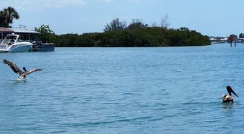 Search for homes on Casey Key