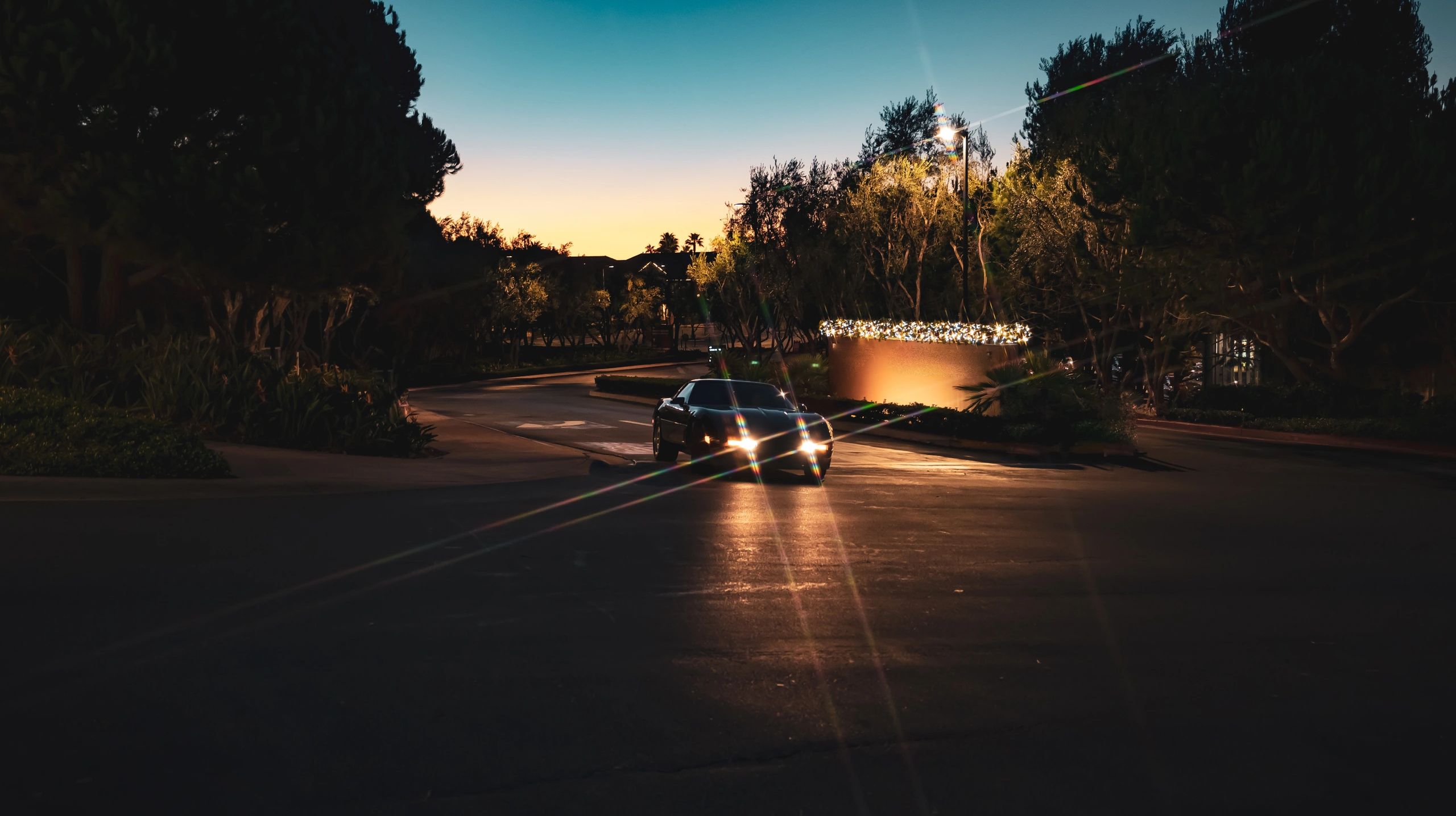 Corvette driving off at sunrise