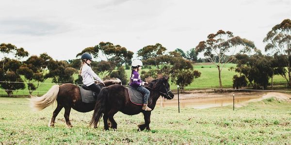 Pony Leasing Melbourne