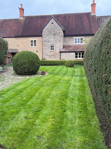 Manicured garden with striped lawn and trimmed bushes in front of a rustic stone house.