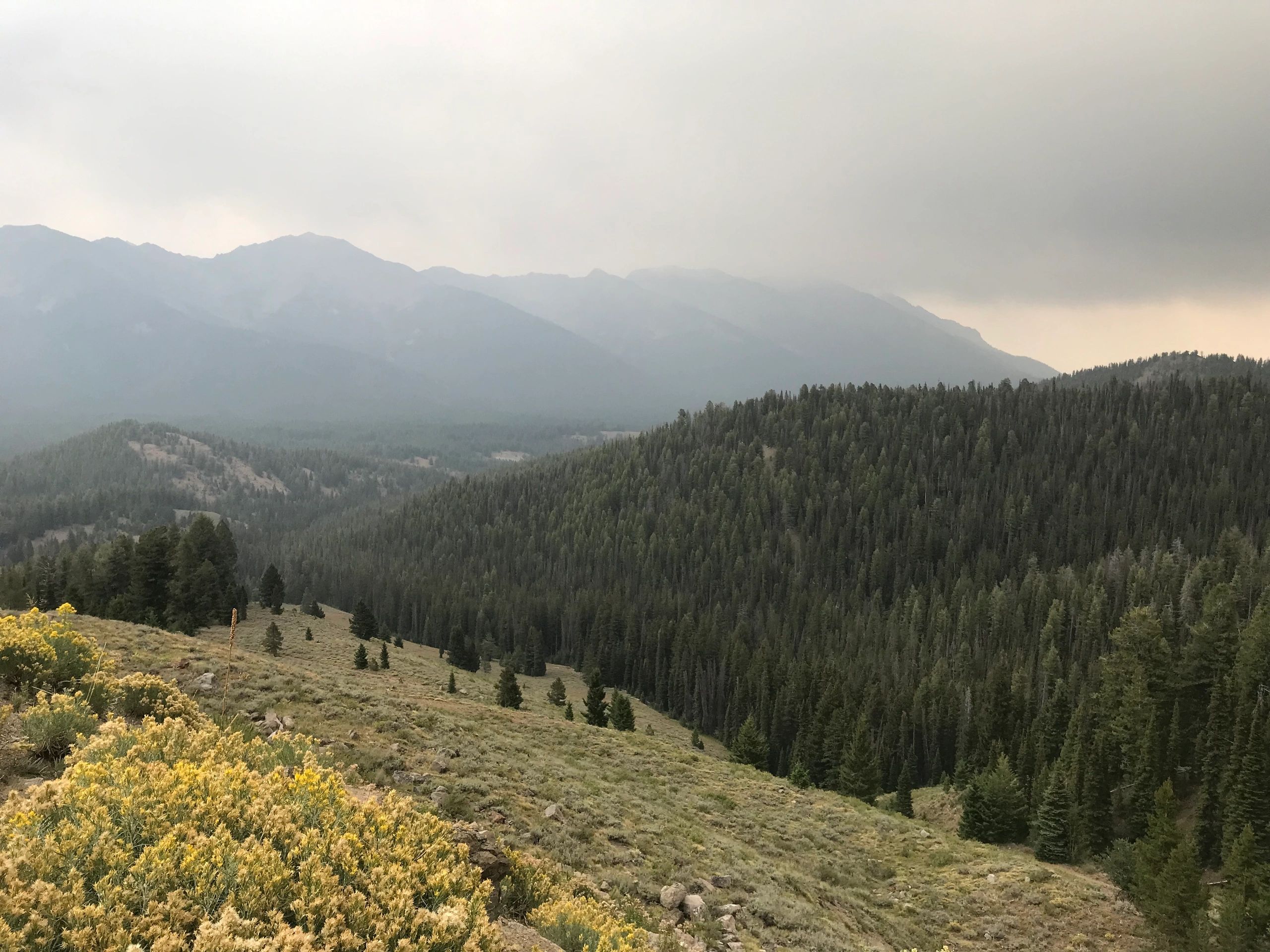 Distillery hero image