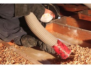 Old loose fill insulation being vacuumed out of an attic.