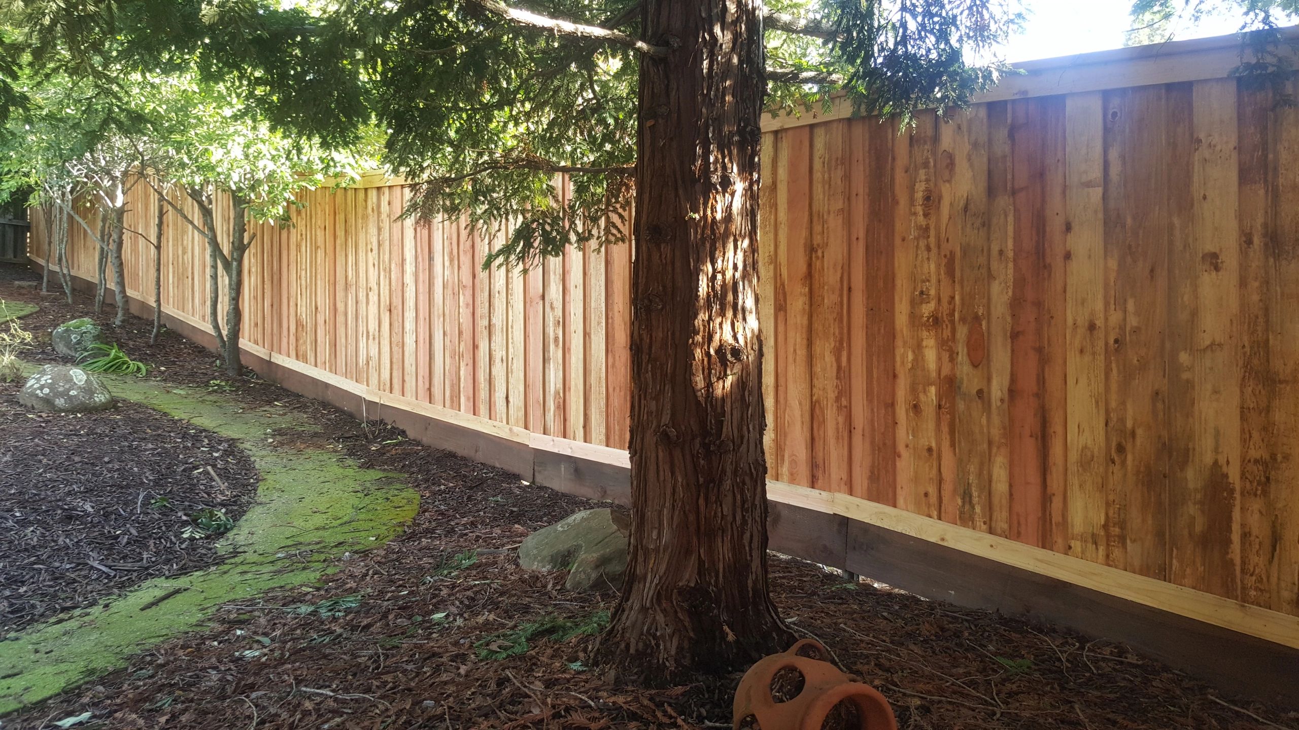 7' Redwood Top Cap Board on Board Privacy Fence w/ 2x10 Kickboard