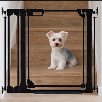 Clear design so that you can see your dog with ease.
Dual Locking System