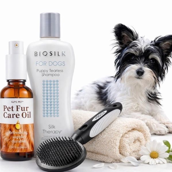 Pet grooming essentials with a cute black and white dog relaxing nearby.