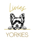 Livies Yorkies & Biewers