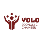 You Only Live Once (YOLO) 
Economic Chamber