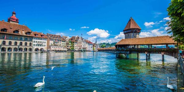 Watching Swan, Lucerne Switzerland