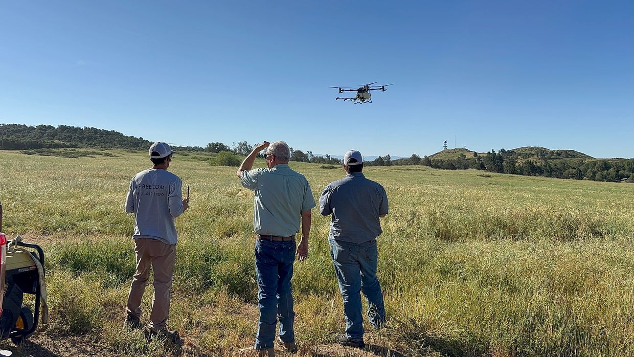 Three men operating a drone in a grassy field.