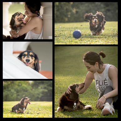 "It's highly enjoyable experience to work with Ryan on the photoshoot of my fur kid! Ryan is absolut