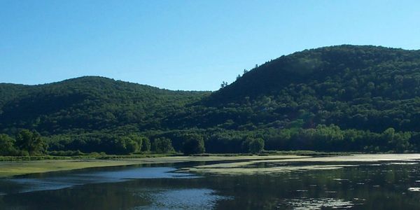 Woods Pond