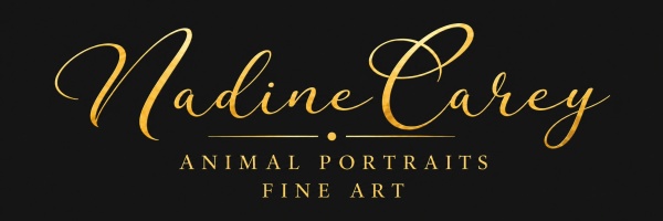 Nadine Carey Art      
Animal Portraits . Fine Art           