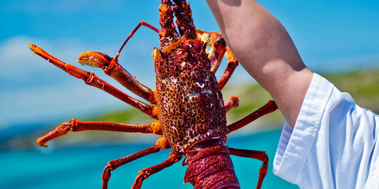 yield-co-finance-fishing-equipment-pot-licence-loans-wa