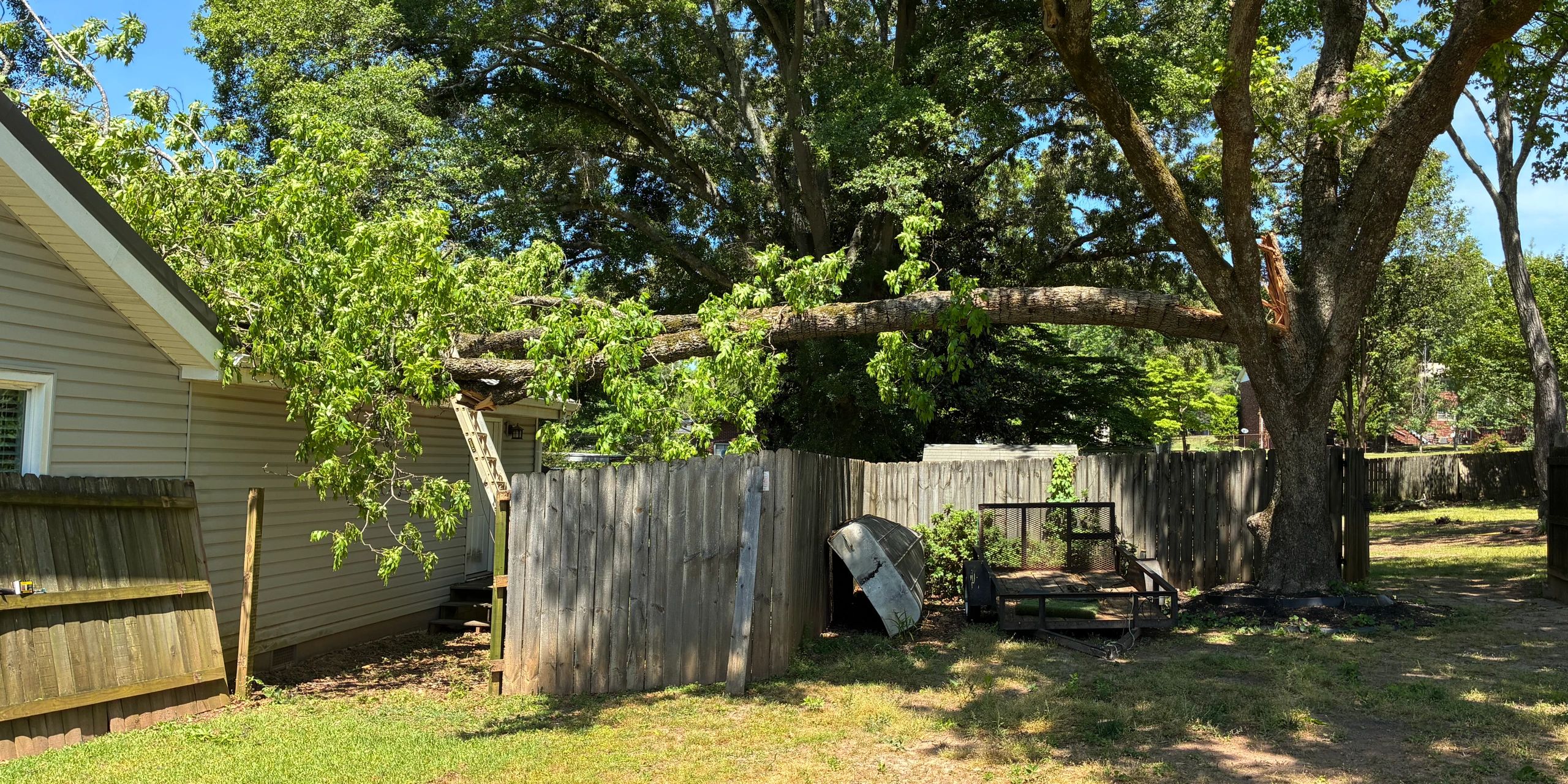 Large tree branch broken and resting on a fence near a house.