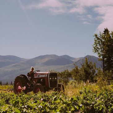 Farm stay