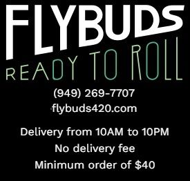 FlyBuds General Company Information