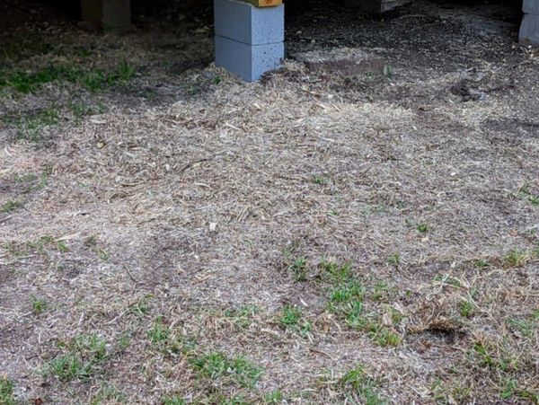 Affordable stump grinding - Conroe