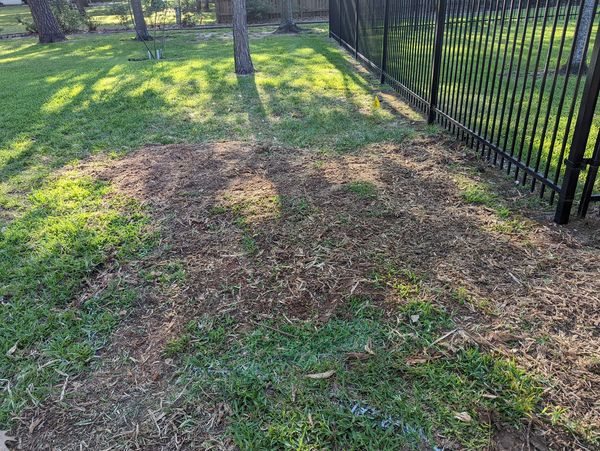 Affordable stump removal!