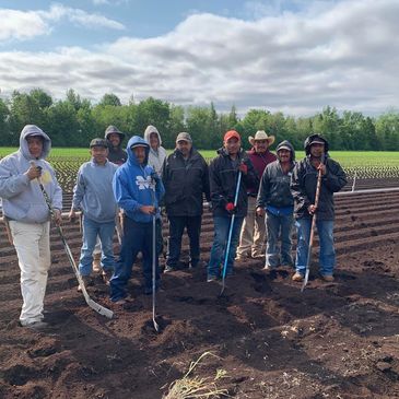 Travailleurs étrangers
