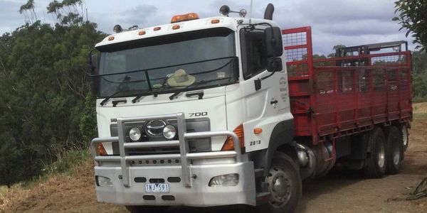 2005 Hino  Ranger 